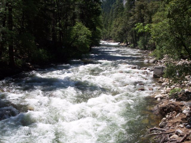 image Yosemite_Valley_Day1 036.jpg